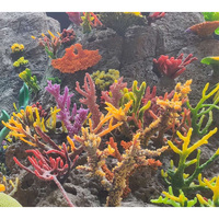 Decoración Artística para Acuarios, Paisajismo para Peceras, Simulación de Arrecife de Coral, Decoración de Paisaje Marino