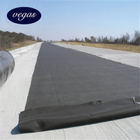 Géotextile en polyester non tissé à fibres courtes PET 100-800 g/m² à bas prix pour le renforcement des talus de sol