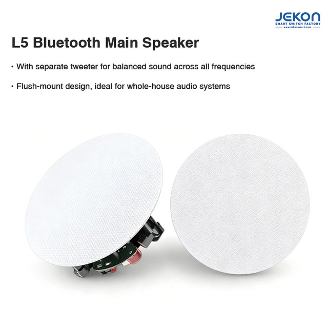 HiFi  Flush Mount Ceiling Speaker 89dB Sensitivity for Home Audio System