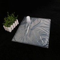Maßgefertigter Transparenter 2-lagiger Hochsicherheits-Flüssigkeitsverpackungsbeutel mit Ventil für Saft, Mineralwasser und Getränkespender