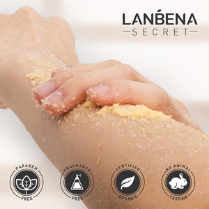 Gommage corporel au curcuma naturel et biologique Lanbena Factory Direct 280G - Product Image 4