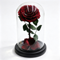 Rose éternelle artisanale préservée sous cloche en verre avec boîte cadeau pour Thanksgiving, Noël ou décoration d'événements