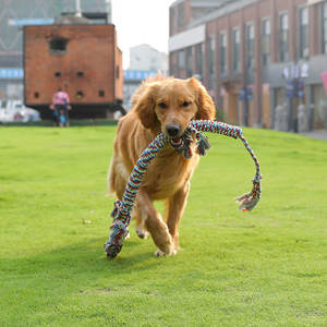 Juguete de entrenamiento de cuerda de algodón trenzado para perros grandes, nuevo, resistente a mordeduras, duradero, ecológico, para perros, juguetes masticables interactivos para perros - Product Image 4