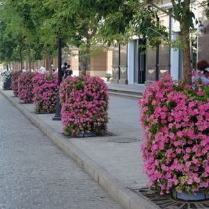 Maceta Colgante para Jardín Vertical, Poste de Lámpara con Jardinera, Producto Más Vendido - Product Image 6