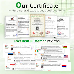 Suplemen Kolagen OEM yang Dapat Diserap, Tablet Kalsium <span class=keywords><strong>Magnesium</strong></span> Seng Vitamin <span class=keywords><strong>D3</strong></span> untuk Kekuatan Tulang Dewasa - Product Image 5