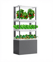 Système de plantation hydroponique vertical à usage domestique contrôlé par application Combinaison gratuite au détail Équipement hydroponique