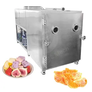 ORME花卉实验冻干机200公斤销售设备最大的水果和蔬菜虾