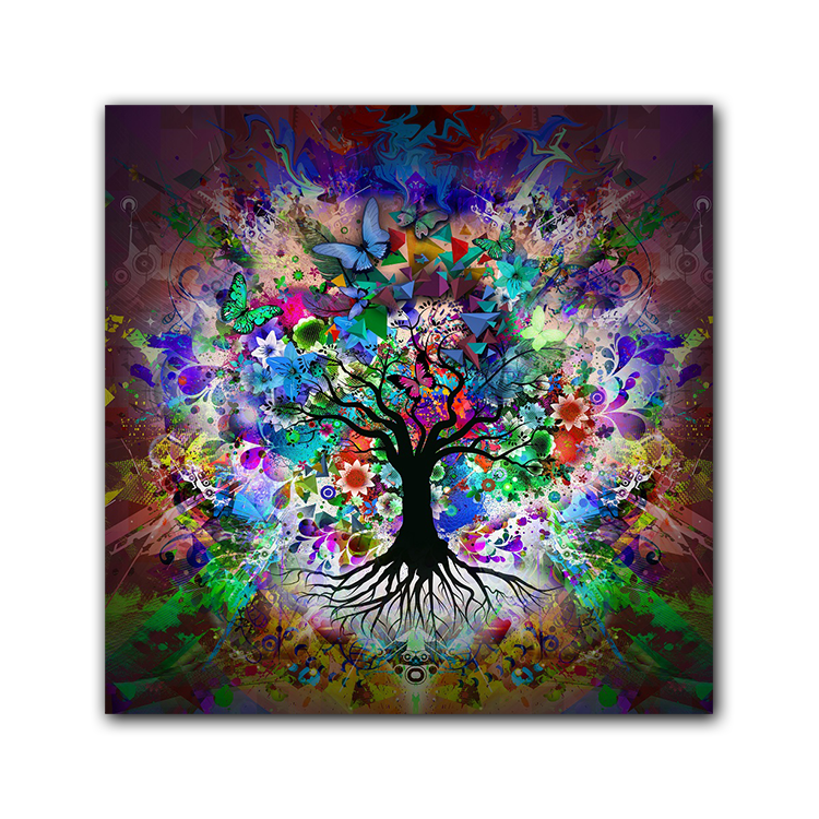 as the picture shows