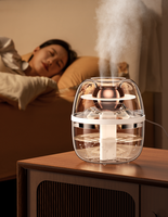 Diffuseur d'air mini USB de grande capacité 3L, humidificateur à brume d'eau avec lumière colorée, humidificateur à forte diffusion de brume