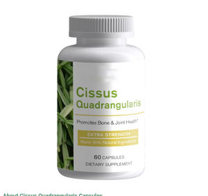 OEM-Capsules d'extrait de Cissus Quadrangularis-Soutient la santé du tissu conjonctif - Product Image 1