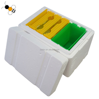 Nouveau mini-système d'élevage de reines pour ruche, boîte à abeilles en mousse avec 3 cadres