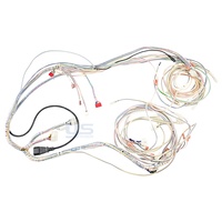 Kit de câblage pour moto tout-terrain ATV 5070, faisceau de câblage, bobine d'allumage CDI, stator, moteur, kit de câbles électriques pour moto tout-terrain, quad