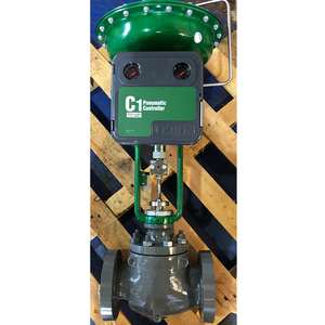 Controlador C1 en Stock, Nuevo y Original, con un Año de Garantía - Product Image 6