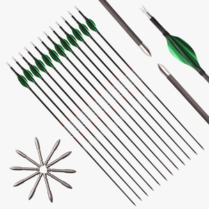 Arc Composé Réglable AMEYXGS JUNXING X8 - 20 à 70 Lbs - Kit Complet Droitier
