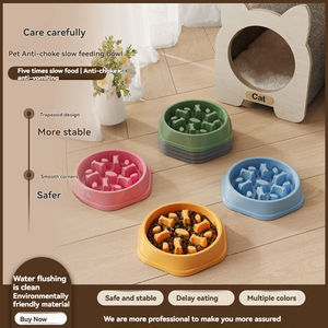 Küçük köpek ve kedi anti-boğulma besleme havzası çevre dostu PP malzeme Anti-Skid özelliği ile yavaş gıda köpek kase - Product Image 2