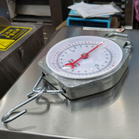 Impa 650754 Kraan Hangende Weegschaal 50Kg Schijfveer Weegschaal