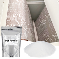 Poudre thermofusible fine EiZYCUT DTF 80 µm en polyuréthane blanc, point de fusion 105-120 °C, temps de collage 10-15s, échantillon gratuit pour impression