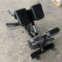 Chaise romaine professionnelle pour extensions lombaires à 45 degrés, équipement de fitness pour super-extension de la taille, direct usine