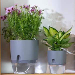 Vendita calda trasparente idroponica da giardino interno vaso fioriera in plastica Smart vasi da fiori