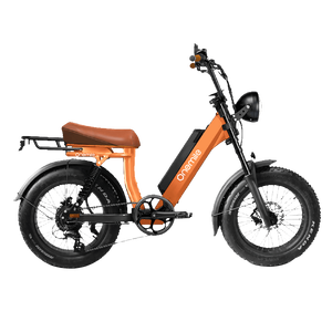 Vélo Onemile Scrambler Pro - Couleurs Moon Black/Forest Green/Ice Gray/Pampelune Orange - Modèles S/V Moon Black Scrambler - Product Image 5