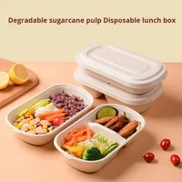 Boîte à bento à emporter en plastique PLA+ biodégradable et papier biodégradable, capacité 700-850 ml, avec compartiment pour croissant