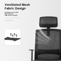 Chaise de bureau ergonomique moderne en maille confortable, hauteur réglable, support lombaire, base robuste, roulettes silencieuses en nylon, chaise de travail