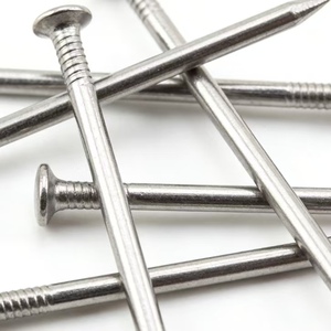 Clavos Comunes de Acero Galvanizado de 9*100mm, Punta Afilada, Cabeza Plana, Cuerpo Liso, Superficie Brillante, en Cartón - Product Image 1