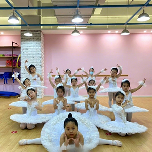 Профессиональный балетный костюм-пачка для девочек и женщин: сине-розовое платье-пачка для балерины, для вечеринок, танцев и выступлений - Product Image 3