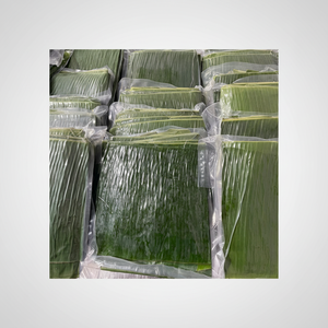 Feuille de bananier congelée pour l'exportation feuille écologique de grande taille bon prix avec un produit écologique tendance de haute qualité 2025 Vietnam - Product Image 1