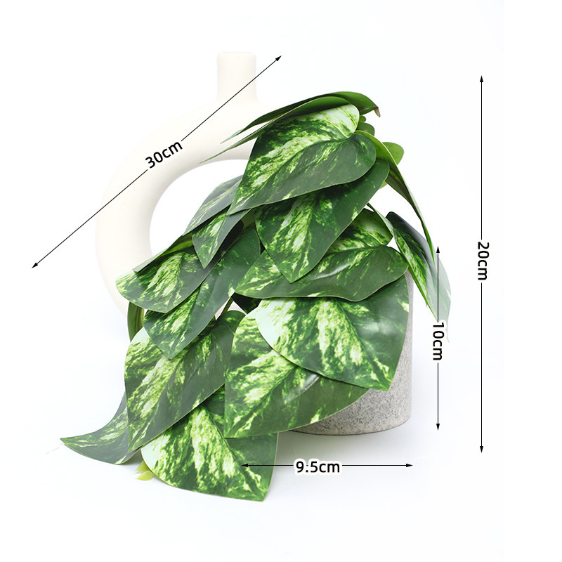 Nouvelle feuille de pastèque unique - une tige verte