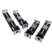 Module de Précision Automatique DSR MOK 50-600mm, Axe Optique, Vis à Billes, Rail Linéaire, Moteur Pas à Pas, Table de Travail en Acier, 5kg, Garantie 1 An