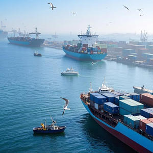 Agente di logistica specializzato <span class=keywords><strong>FCL</strong></span> spedizione dalla cina al sud Africa Tanzania Mozambique DDP DDU spedizioniere veloce - Product Image 6