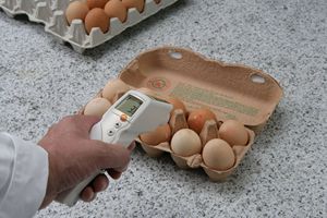 เทอร์โมมิเตอร์อินฟราเรด Testo 831 ของแท้ใหม่ |   การวัดอุณหภูมิแบบไม่สัมผัส - Product Image 6