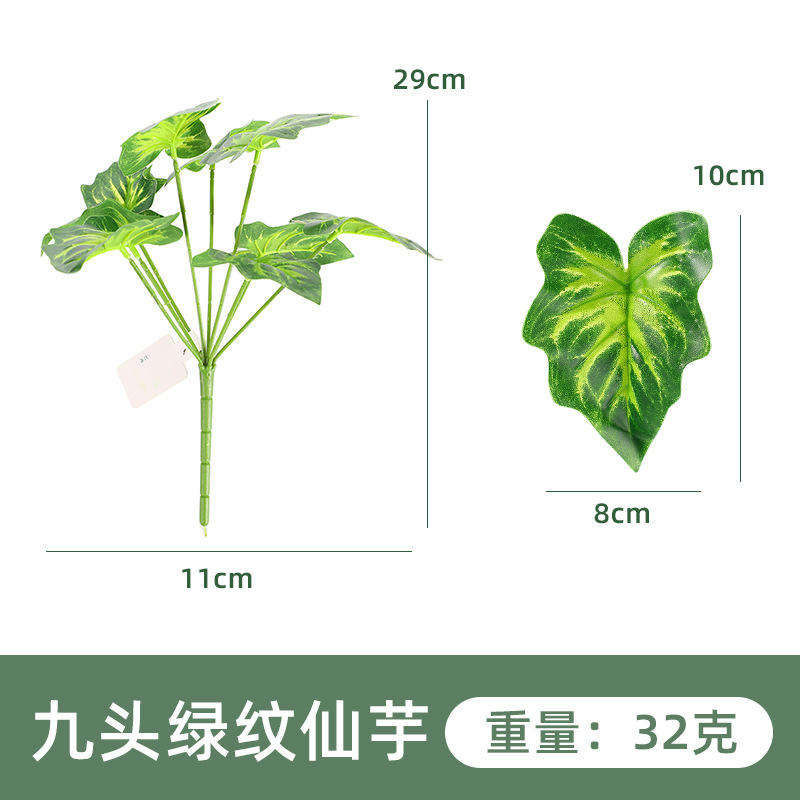 nine green immortal taro 2