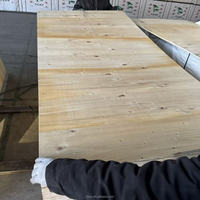 Palette en bois d'extérieur de qualité supérieure, conception industrielle de première classe, colle WBP, peuplier, normes d'émission de formaldéhyde E2