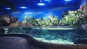 Aqurio Levende Vissen <span class=keywords><strong>Aquarium</strong></span> Helder Glas Aquariumvissen Levende Kunstmatige <span class=keywords><strong>Aquarium</strong></span> <span class=keywords><strong>Aquarium</strong></span> - Product Image 2