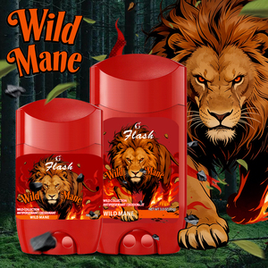 Déodorant anti-transpirant en stick pour <span class=keywords><strong>homme</strong></span>, collection Wild, protection longue durée 48h contre les odeurs et la transpiration, plusieurs senteurs, déodorant solide - Product Image 6