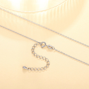 Collana a Catena in Argento 925 Minimalista Placcata in Rodio Unisex per Uso Quotidiano Gioielli Raffinati - Product Image 1