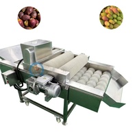 Industriële machine voor het verwijderen van dornen van cactusvijgen, apparatuur voor het ontdoornen en reinigen van cactusvijgen voor voedselverwerking