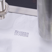 Imprimante jet d'encre continu (CIJ) Prima Haute Performance IPS-C240 pour cartons et sachets souples