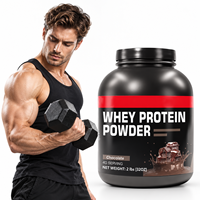 Poudre de Protéine de Lactosérum OEM ODM Saveur Chocolat Nutrition Sportive Soutien Énergétique Complément Protéiné Marque Privée