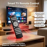 Control Remoto Inalámbrico IR de 31 Teclas para Smart TV LCD, Android TV Box, Carcasa Personalizada OEM ODM, Suministro de Fábrica