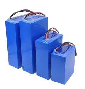 Pack de batterie au lithium-ion 12v 24v 36v 48v 60v 72v 10ah 20ah 30ah 40ah 60ah 100ah pack de batterie pour système solaire