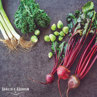 Kit de plantation DIY pour enfants, outils de jardinage écologiques et biodégradables, ensemble de plantation de légumes, intérieur/extérieur, vente en gros