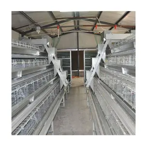 Poultry Farm Equipment Battery Chicken Layer Cage Automatic Poultry Cage