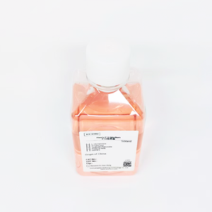 Медиум для клеточных культур ACE VITRO Ham's F10, 500 мл, для линий молочнокислотных клеток (CHO-K1, PC-12) и первичных клеток, лабораторные реагенты - Product Image 5