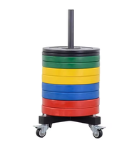 Support de rangement mobile pour haltères et barres SM avec roulettes lisses – Support de plaques de poids peu encombrant pour salle de sport