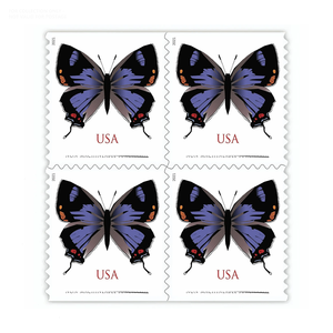 Timbres-poste, Étiquettes, Autocollants, Rouleaux d'autocollants, Feuilles <span class=keywords><strong>de</strong></span> timbres-poste, Autocollants pour album, Autocollants, Timbres-poste d'Islande - Product Image 5