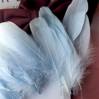 Lt plume d'oie bleue pour Arts artisanat bricolage stylo aile coiffure fête carnaval Costume chapeau cheveux accessoire Halloween maison noël décor