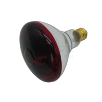Nouvelle lampe chauffante infrarouge rouge Shangqingtai 220V, verre anti-explosion, équipement d'élevage avicole pour usage agricole